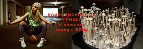 прущие крисы Алексеевка