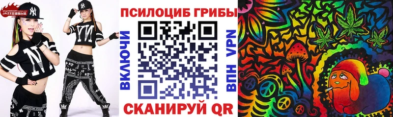 нарко площадка клад Берёзовский Псилоцибиновые грибы мицелий